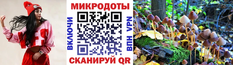 Псилоцибиновые грибы Cubensis  закладки  Орск 
